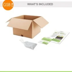 Tristar Everbearing Strawberry Bare Roots, Non-GMO (Bag Of 10) -Garden State Bulb garden state bulb fruit plants ecs 79 10 01 fa 1000