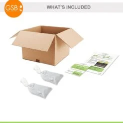 Tristar Everbearing Strawberry Bare Root Crowns, Non-GMO (Bag Of 20) -Garden State Bulb garden state bulb fruit plants ecs 79 20 02 fa 1000