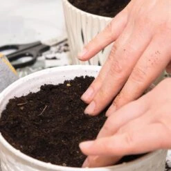 Catnip Herb Grow Kit With Mouse Toy (2-Pack) 16 Catnip Herb Grow Kit With Mouse Toy (2-Pack) -Garden State Bulb garden state bulb hydroponic seed starters ech 18 02 01 44 1000