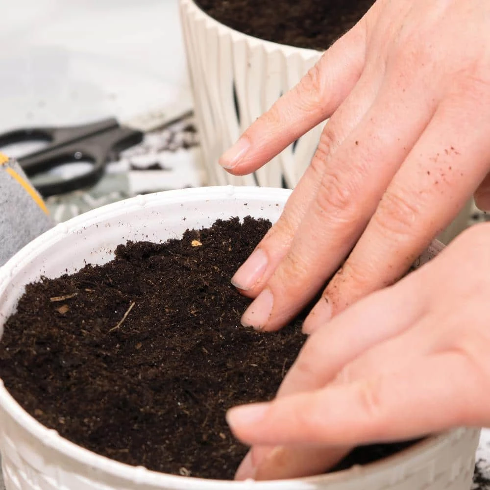 Catnip Herb Grow Kit With Mouse Toy (2-Pack) 8 Catnip Herb Grow Kit With Mouse Toy (2-Pack) - Image 6