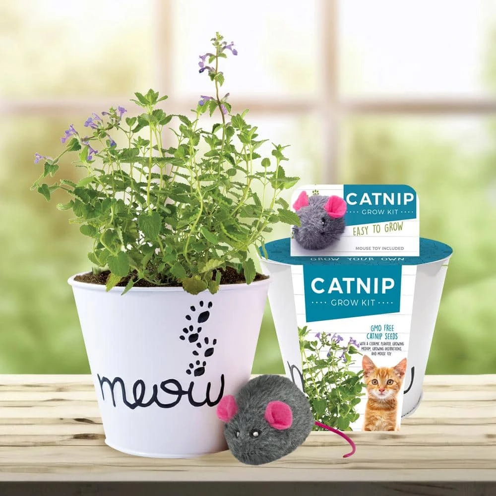 Catnip Herb Grow Kit With Mouse Toy (2-Pack) 3 Catnip Herb Grow Kit With Mouse Toy (2-Pack)