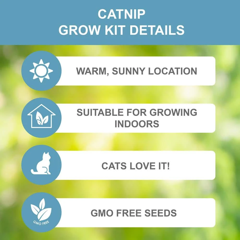 Catnip Herb Grow Kit With Mouse Toy (2-Pack) 5 Catnip Herb Grow Kit With Mouse Toy (2-Pack) - Image 3