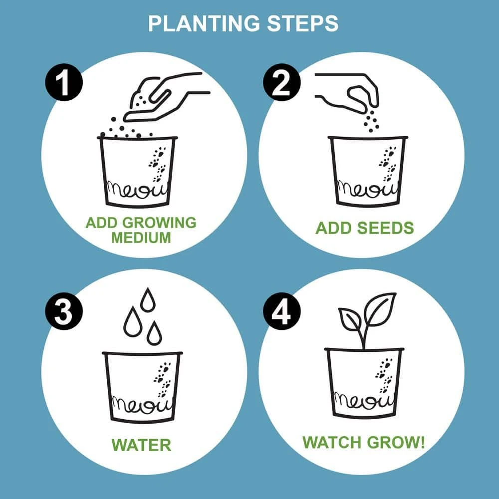 Catnip Herb Grow Kit With Mouse Toy (2-Pack) 9 Catnip Herb Grow Kit With Mouse Toy (2-Pack) - Image 7