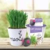 Cat Grass Herb Seed Grow Kit With Mouse Toy (2-Pack)