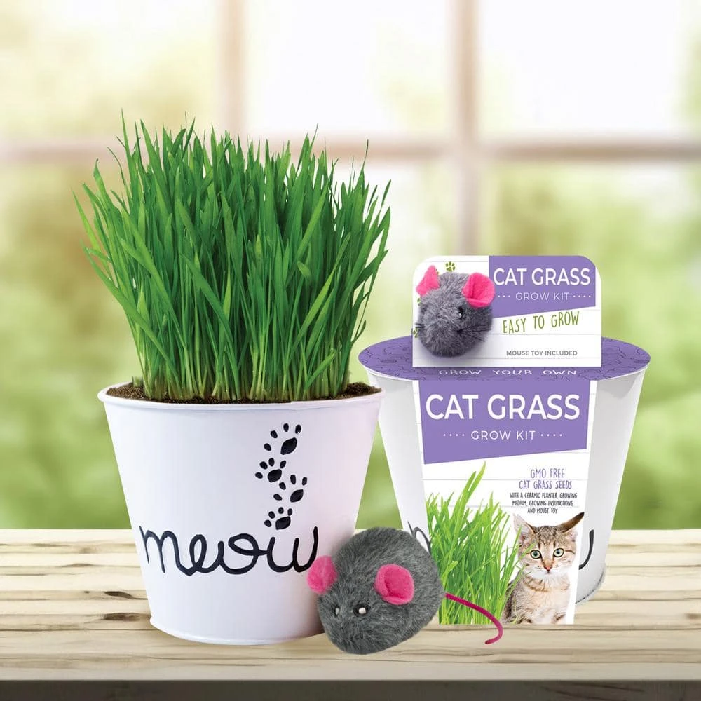 Cat Grass Herb Seed Grow Kit With Mouse Toy (2-Pack) 2 Cat Grass Herb Seed Grow Kit With Mouse Toy (2-Pack)