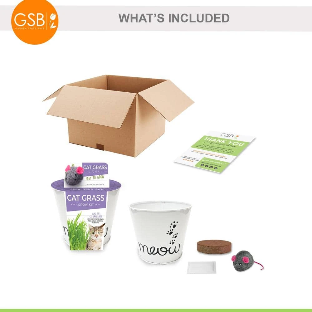 Cat Grass Herb Seed Grow Kit With Mouse Toy (2-Pack) 3 Cat Grass Herb Seed Grow Kit With Mouse Toy (2-Pack) - Image 2