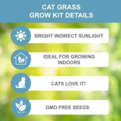Cat Grass Herb Seed Grow Kit With Mouse Toy (2-Pack) 11 Cat Grass Herb Seed Grow Kit With Mouse Toy (2-Pack) -Garden State Bulb garden state bulb hydroponic seed starters ech 19 02 01 c3 1000