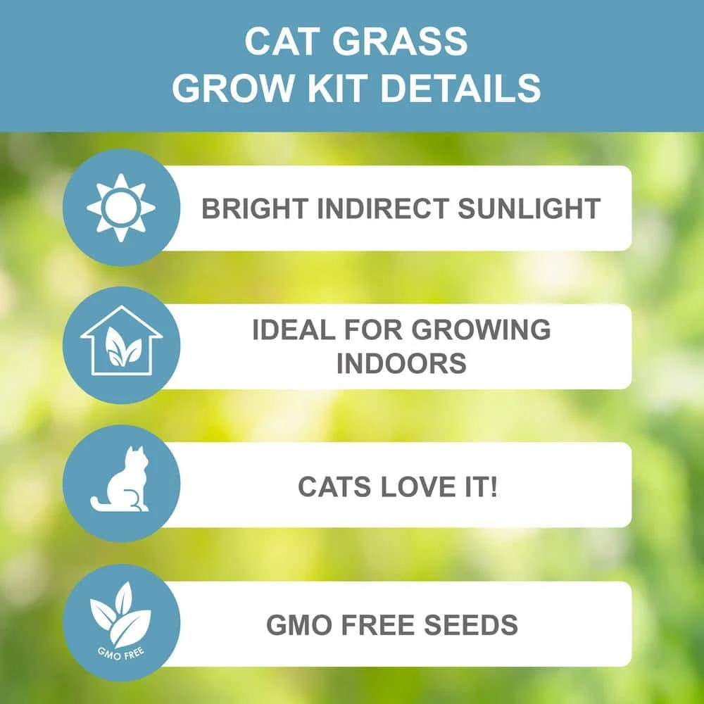 Cat Grass Herb Seed Grow Kit With Mouse Toy (2-Pack) 4 Cat Grass Herb Seed Grow Kit With Mouse Toy (2-Pack) - Image 3