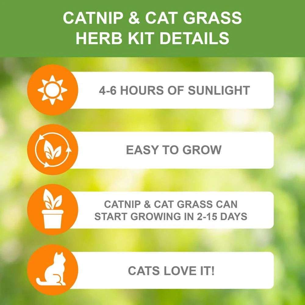 Herb Garden Kit With White Metal Planter (Cat Grass And Catnip) (2-Pack) 5 Herb Garden Kit With White Metal Planter (Cat Grass And Catnip) (2-Pack) - Image 4