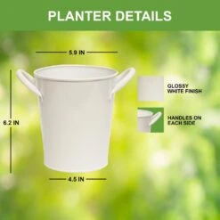 Herb Garden Kit With White Metal Planter (Cat Grass And Catnip) (2-Pack) 13 Herb Garden Kit With White Metal Planter (Cat Grass And Catnip) (2-Pack) -Garden State Bulb garden state bulb hydroponic seed starters ecs 34 cc 02 44 1000