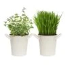 Herb Garden Kit With White Metal Planter (Cat Grass And Catnip) (2-Pack) 1 Herb Garden Kit With White Metal Planter (Cat Grass And Catnip) (2-Pack) -Garden State Bulb garden state bulb hydroponic seed starters ecs 34 cc 02 64 1000