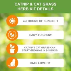 Herb Garden Kit With Aged Zinc Metal Planter (Cat Grass And Cat Nip) (2-Pack) 13 Herb Garden Kit With Aged Zinc Metal Planter (Cat Grass And Cat Nip) (2-Pack) -Garden State Bulb garden state bulb hydroponic seed starters ecs 44 cc 02 1f 1000