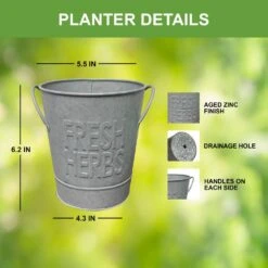 Herb Garden Kit With Aged Zinc Metal Planter (Cat Grass And Cat Nip) (2-Pack) 14 Herb Garden Kit With Aged Zinc Metal Planter (Cat Grass And Cat Nip) (2-Pack) -Garden State Bulb garden state bulb hydroponic seed starters ecs 44 cc 02 44 1000