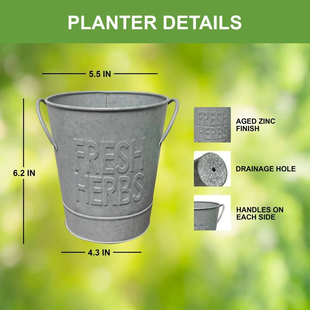 Herb Garden Kit With Aged Zinc Metal Planter (Cat Grass And Cat Nip) (2-Pack) 7 Herb Garden Kit With Aged Zinc Metal Planter (Cat Grass And Cat Nip) (2-Pack) - Image 5