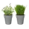 Herb Garden Kit With Aged Zinc Metal Planter (Cat Grass And Cat Nip) (2-Pack) 2 Herb Garden Kit With Aged Zinc Metal Planter (Cat Grass And Cat Nip) (2-Pack) -Garden State Bulb garden state bulb hydroponic seed starters ecs 44 cc 02 64 1000