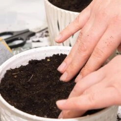 Herb Garden Kit With Aged Zinc Metal Planter (Cat Grass And Cat Nip) (2-Pack) 15 Herb Garden Kit With Aged Zinc Metal Planter (Cat Grass And Cat Nip) (2-Pack) -Garden State Bulb garden state bulb hydroponic seed starters ecs 44 cc 02 fa 1000