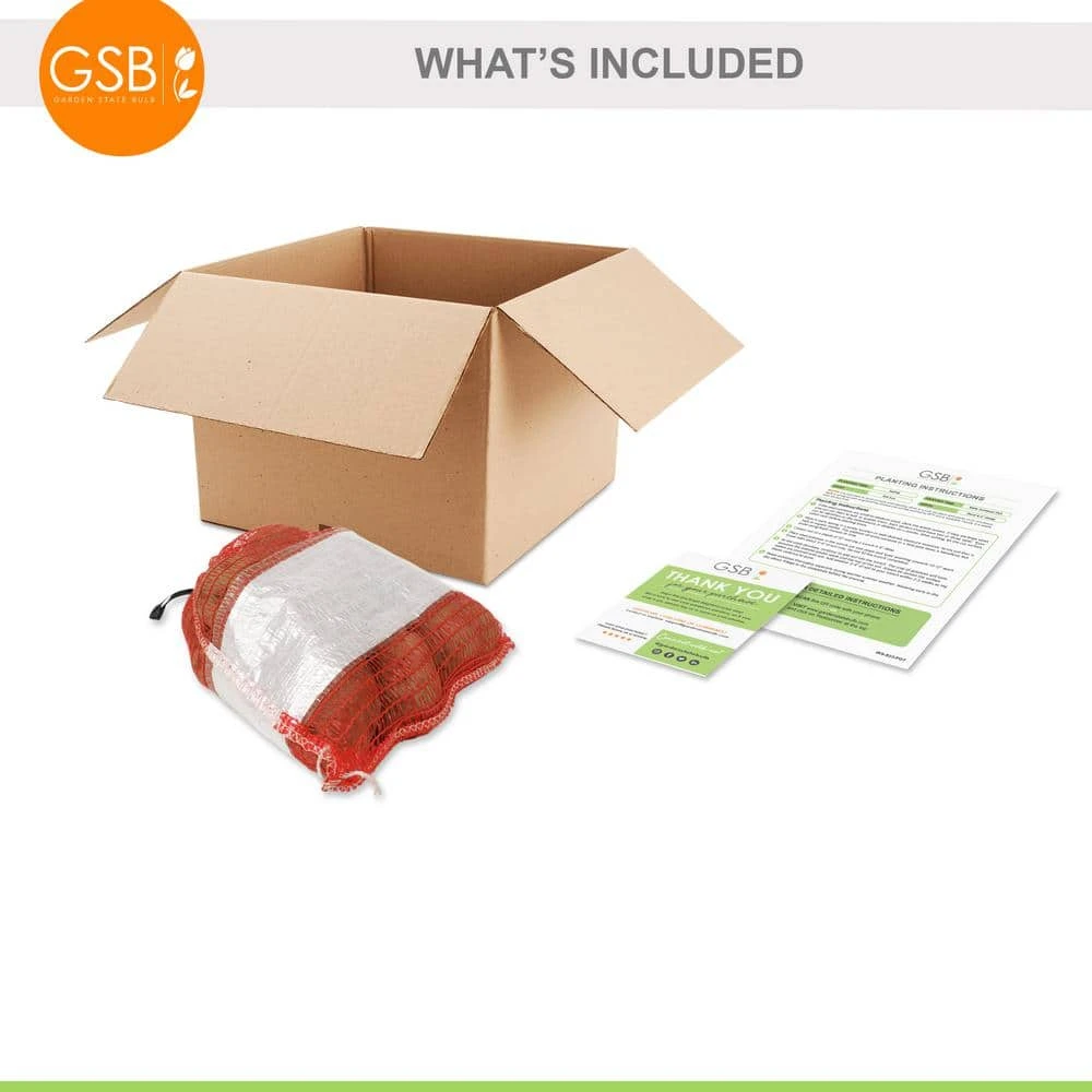 Red Norland Seed Potatoes For Planting (5 Lbs. Bag) 4 Red Norland Seed Potatoes For Planting (5 Lbs. Bag) - Image 2