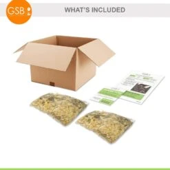 Garden State Bulb -Garden State Bulb garden state bulb vegetables ecs 29 20 02 c3 1000