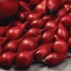 10/25mm, Red Baron Onion Sets For Planting (1 Lbs. Bag) 2 10/25mm, Red Baron Onion Sets For Planting (1 Lbs. Bag) -Garden State Bulb garden state bulb vegetables ecs 30 01 01 64 1000